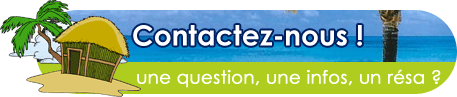 Contactez-nous