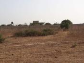 Terrain de 2 ha à toubab dialaw