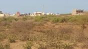 Terrain de 1000m2 a yènn toubab dialaw