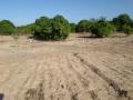Verger 1hectar4000m2 équipé 25 minut Dakar bayakh 265fruitier 2puits 5bassin