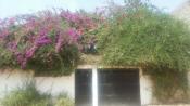 Mbour villa à louer à 150 m de la mer