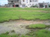 A vendre terrain 250m2 ziguinchor