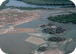 Village de Casamance Sénégal