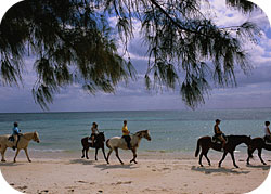 Cheval, équitation sur les plages du Cap Skirring