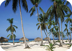 Un des belles plages du Cap Skirring