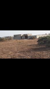 Terrain de 300m2 a mbour zone malicounda