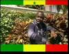 Abdou Guité Seck - Viva - 6623 vues