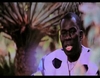 Assane Ndiaye - Soubaly - 8809 vues