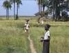 Cultivatrices de riz à Ziguinchor (quartier de Colobane) - 28783 vues