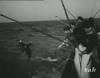 1957 : Pêche et étude du thon à Dakar Sénégal - 10931 vues